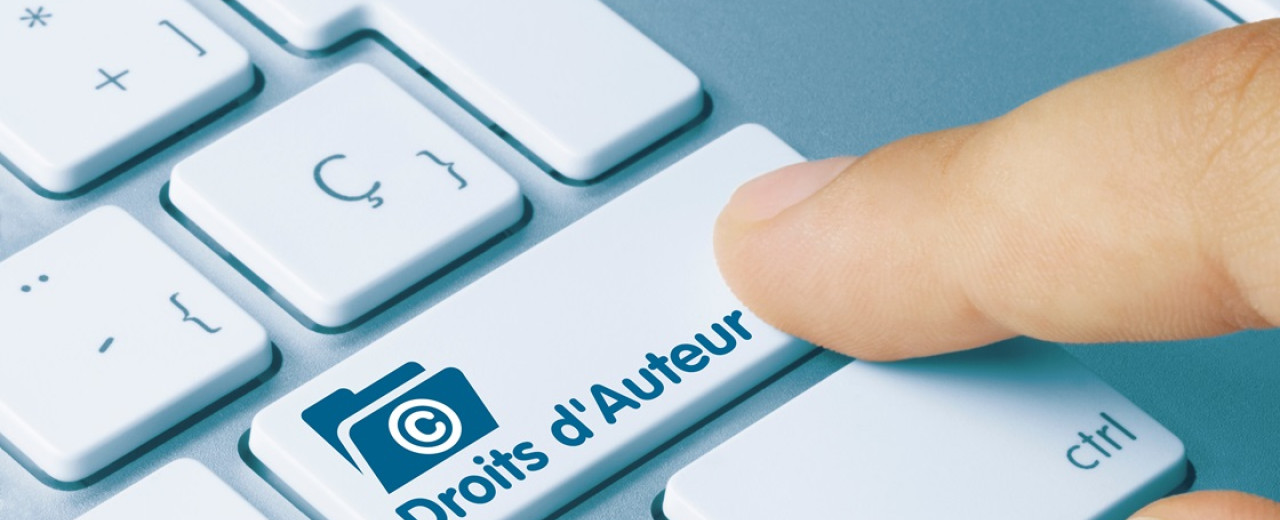 D&eacute;claration des ventes de livres